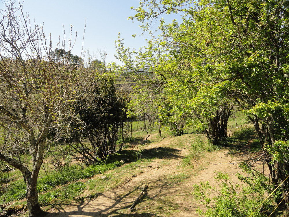 Chambre D'Hotes Au Creux Du Chambon Жоаюз Екстериор снимка